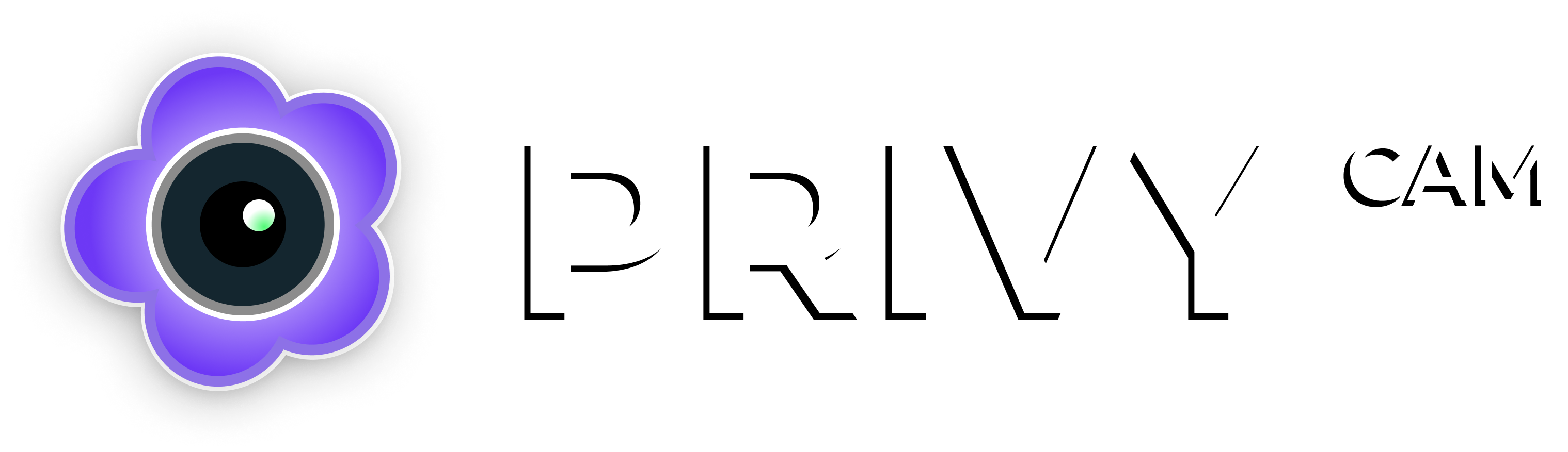 Privy Cam Logo